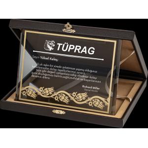 Altın Yaldız Kristal Plaket